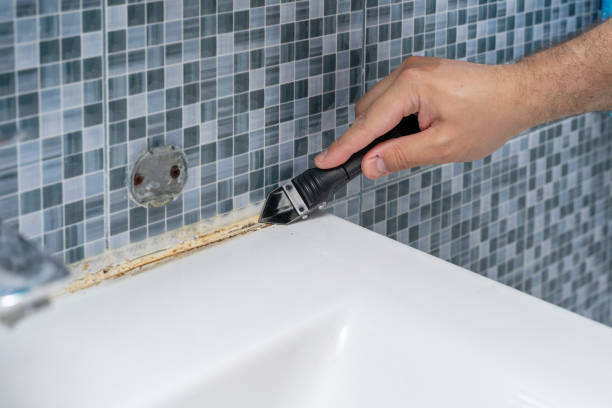 Best Local Mold Removal Service  in Ada, OH