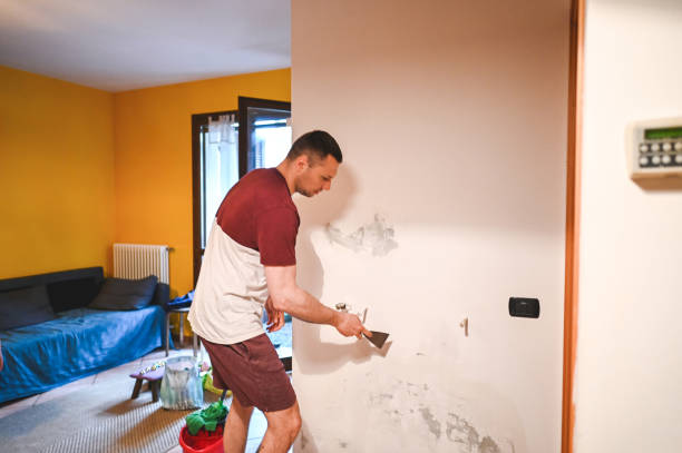 Attic Mold Removal in Ada, OH